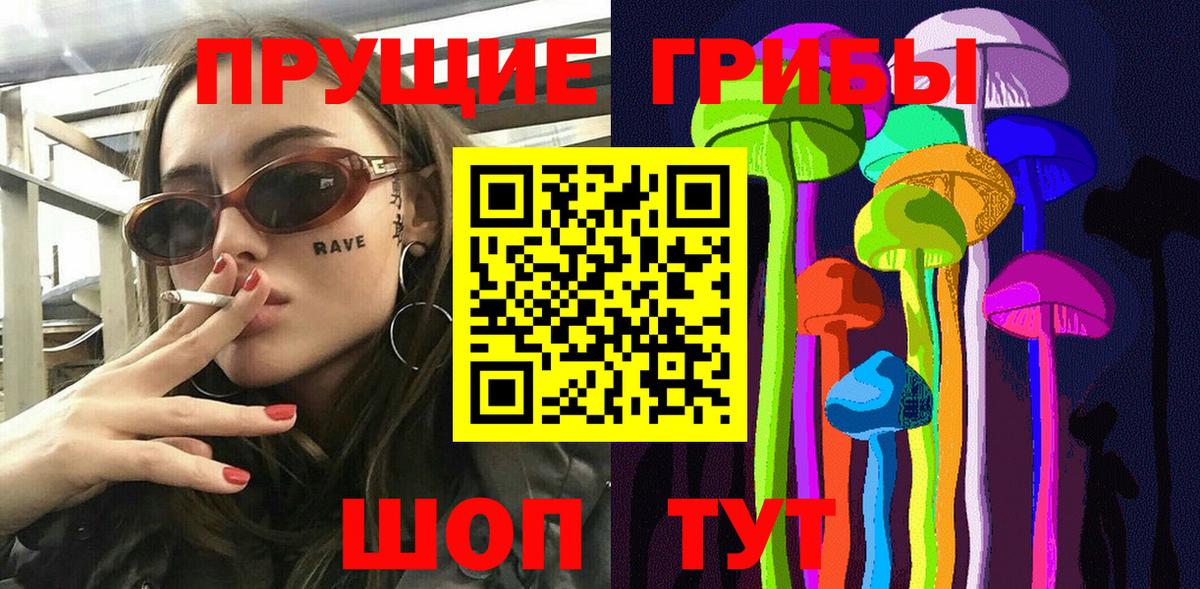 Псилоцибиновые грибы Psilocybe Топки